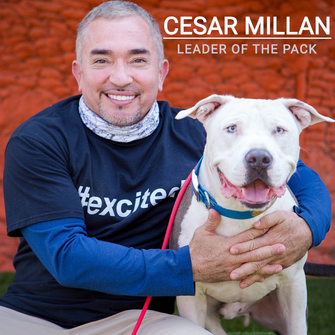 famous dog trainer name ceser